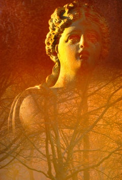 Statue d'un parc central avec une lumière d'après-midi dorée, par Mitchell Funk