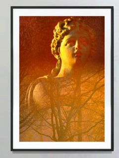 Statue in Central Park With Golden Late Afternoon Light, by Mitchell Funk