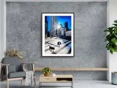 Surreal Black Dog Walks at Central Park with Raking Light: Street Photography