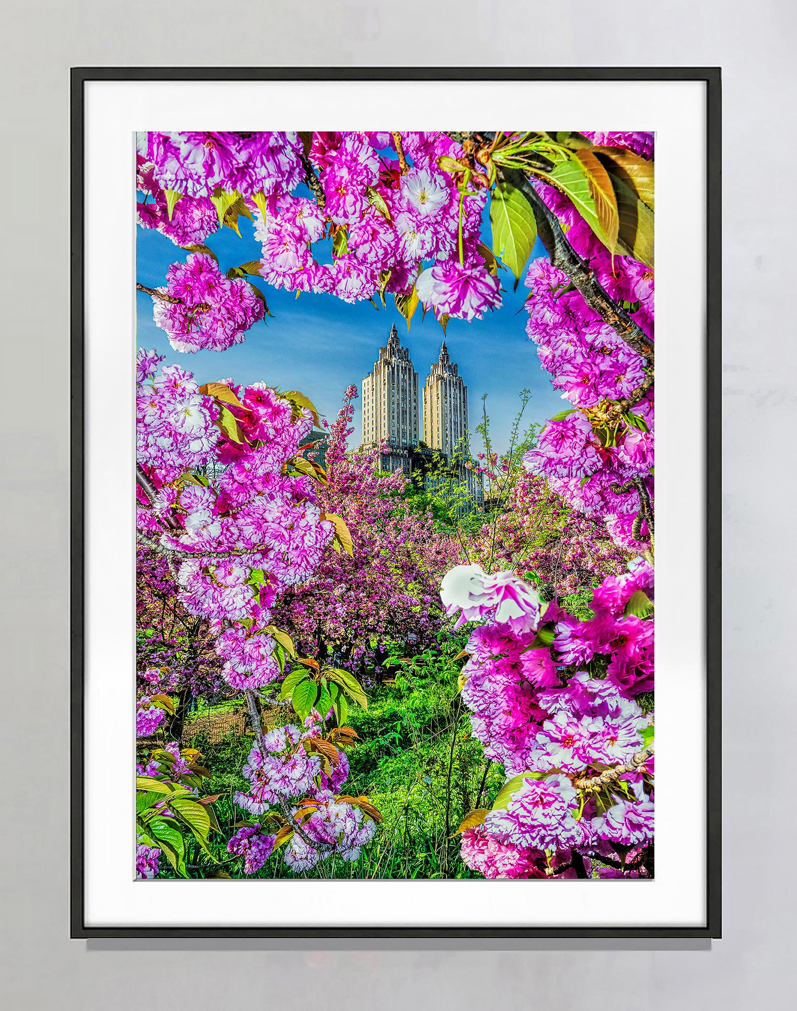 The San Remo Central Park West Framed by Cherry Blossoms Flowers - Contemporary Photograph by Mitchell Funk