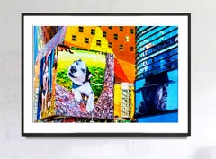 All American Favorites:  Husky Dogs and Clint Eastwood in Times Square