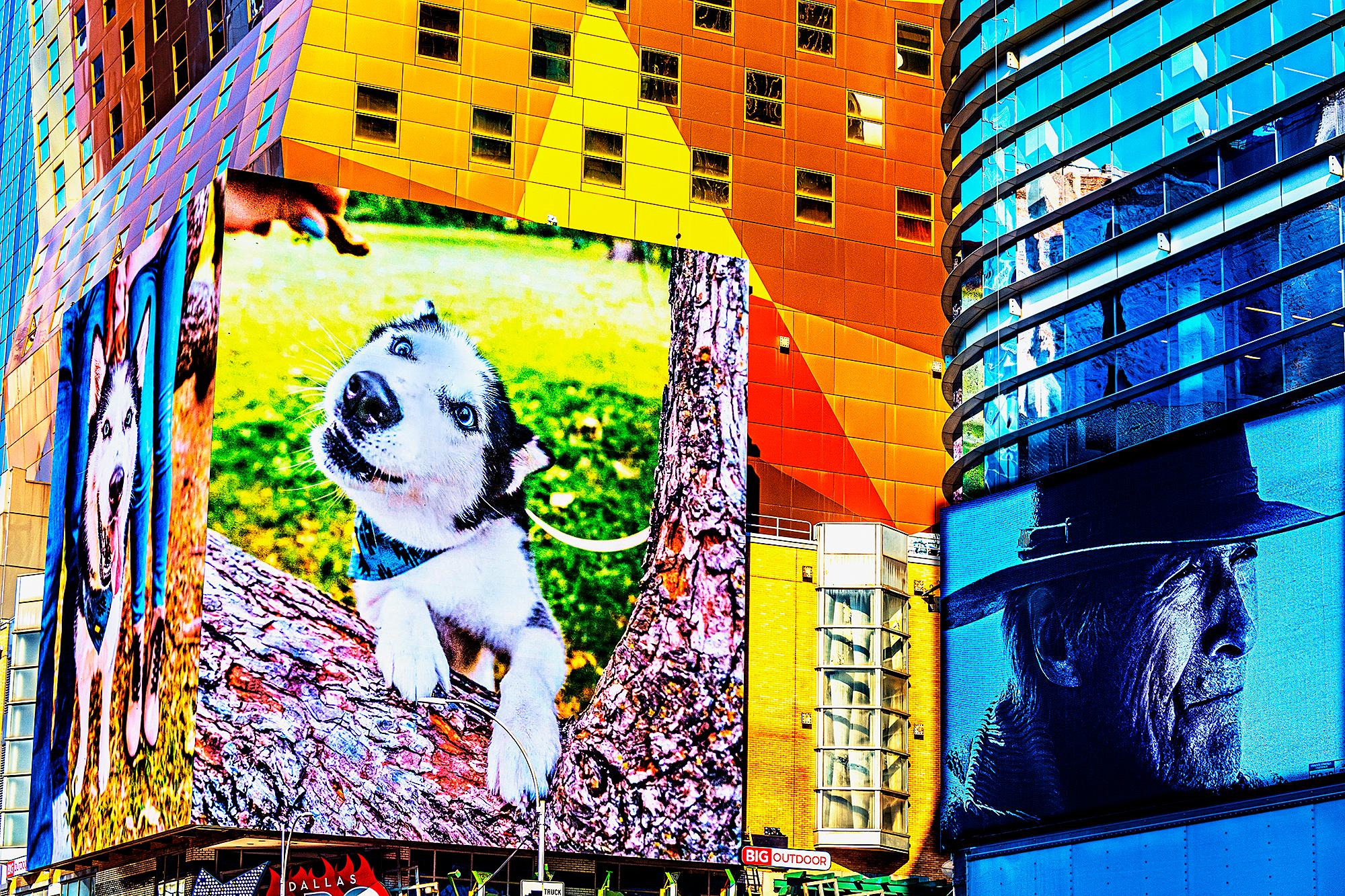 Mitchell Funk Color Photograph - All American Favorites:  Husky Dogs and Clint Eastwood in Times Square