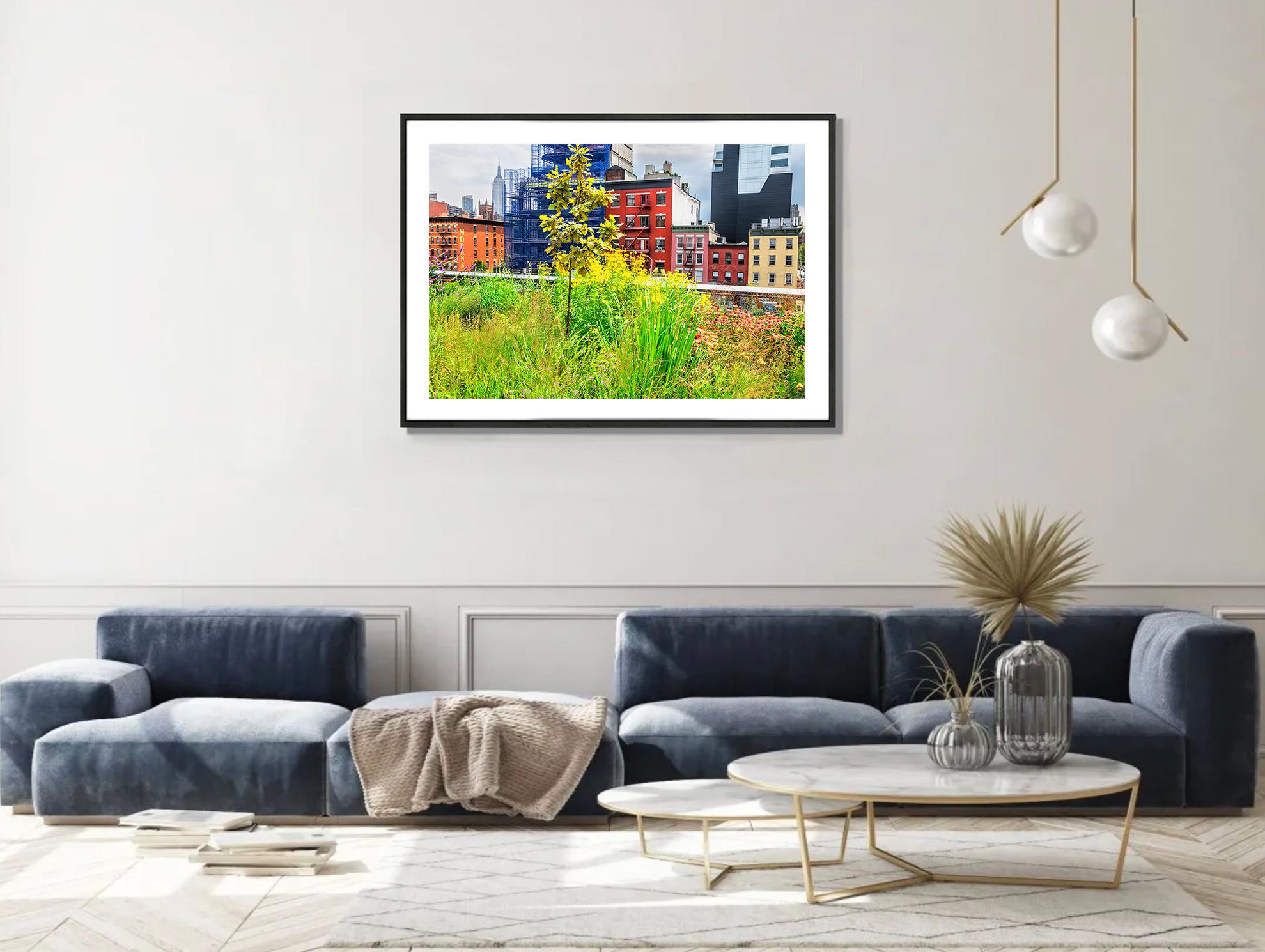 Wherever You Look You See The Chrysler Building: The High Line – Photograph von Mitchell Funk