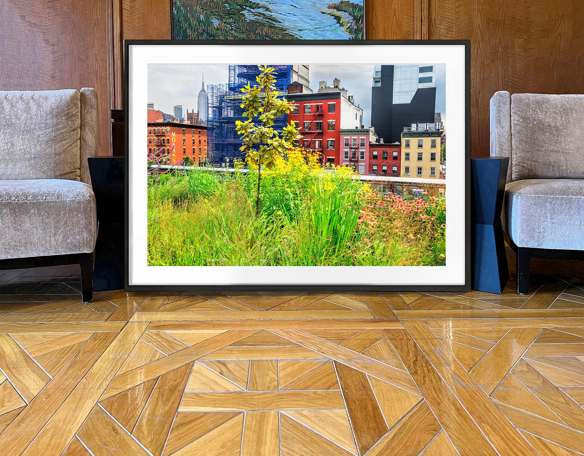 Wherever You Look You See The Chrysler Building: The High Line (Amerikanischer Impressionismus), Photograph, von Mitchell Funk