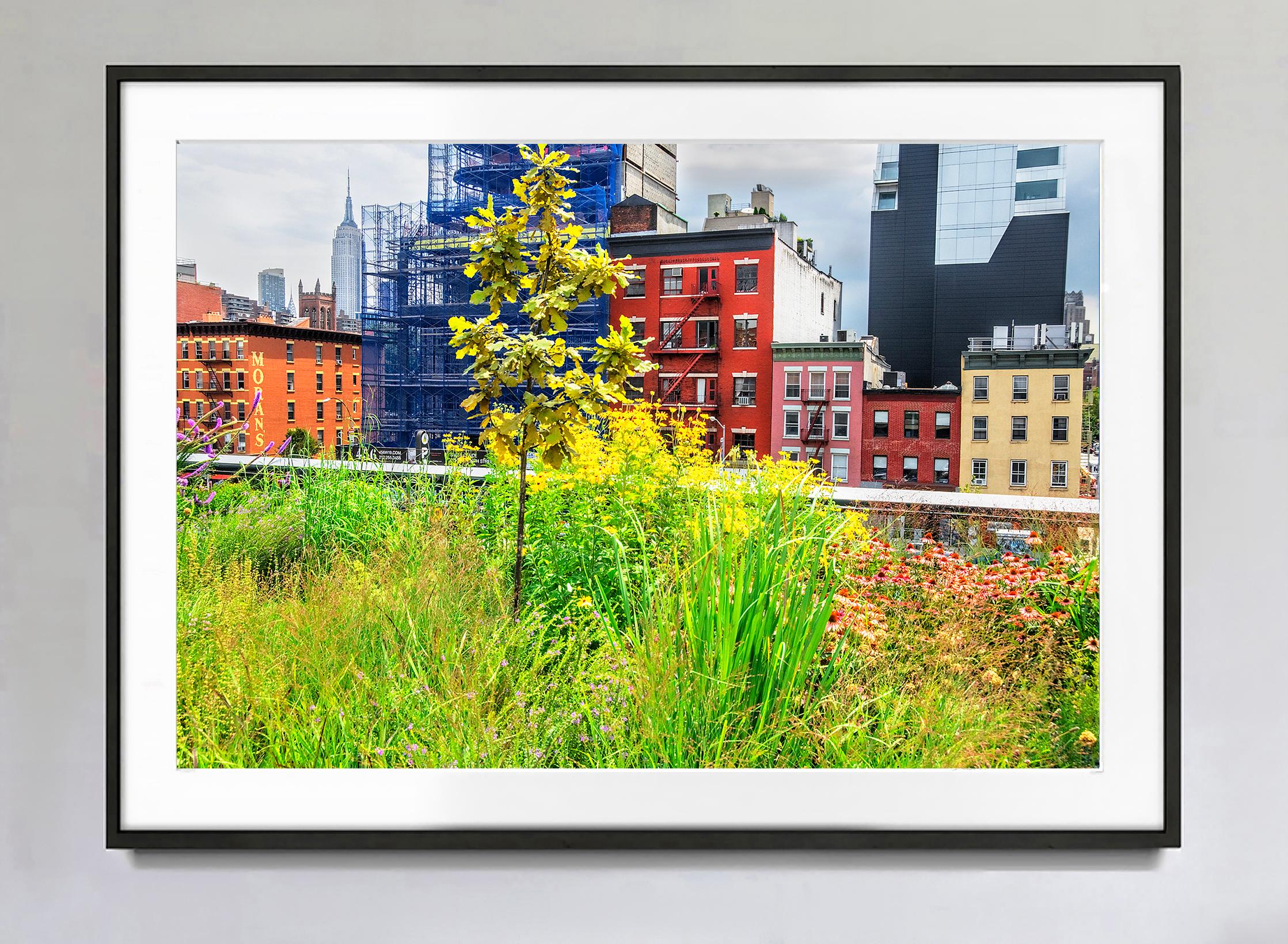 Wherever You Look You See The Chrysler Building: The High Line (Grün), Landscape Photograph, von Mitchell Funk