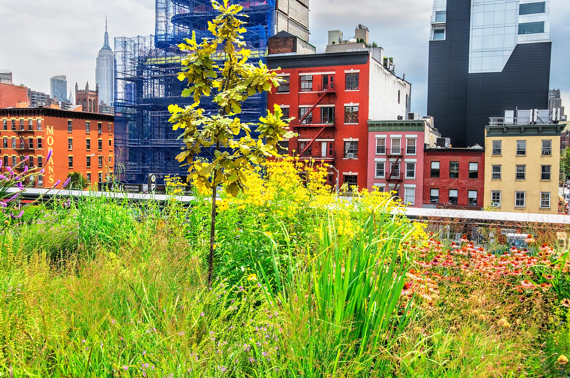 Wherever You Look You See The Chrysler Building: The High Line im Angebot 3