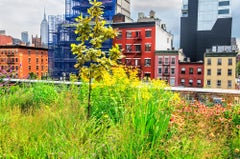 Wherever You Look You See The Chrysler Building: The High Line