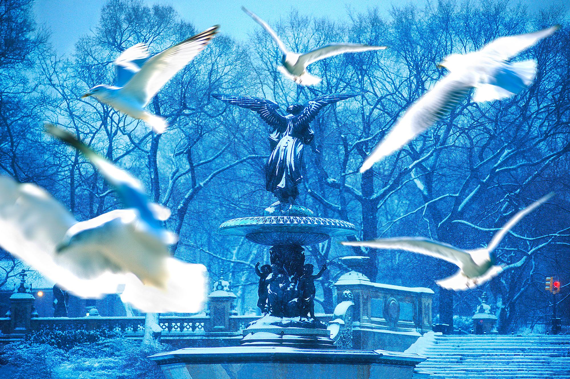 Mitchell Funk Color Photograph - White Doves over New York City Bethesda Fountain in the Snow  Romantic