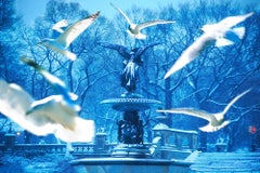 White Doves over New York City Bethesda Fountain in the Snow  Romantic