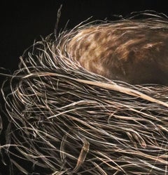 Morning Robin Nest