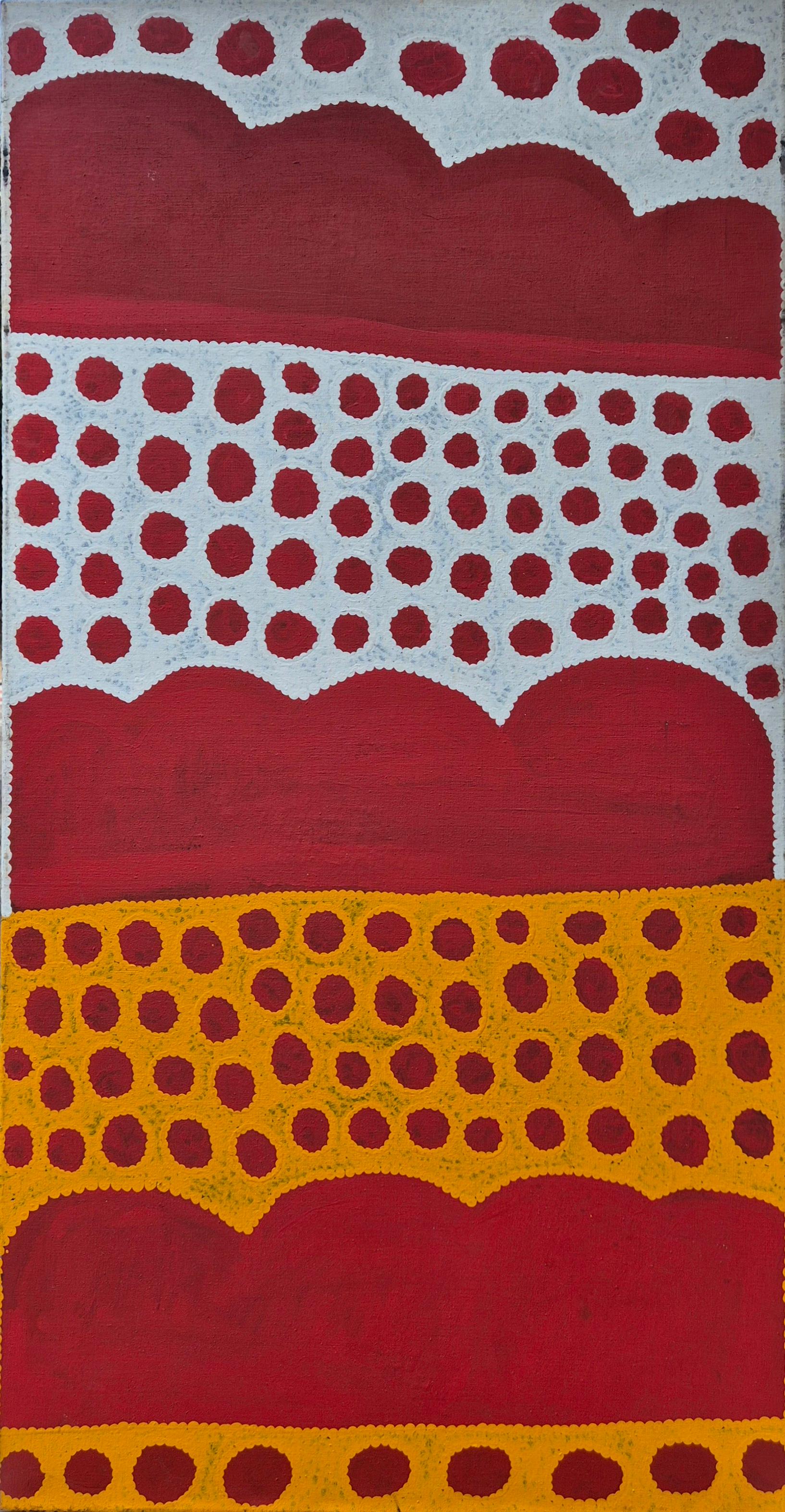 Mitjili Napurrula, My Dreaming, Acryl auf Leinwand, 1996 im Angebot 8