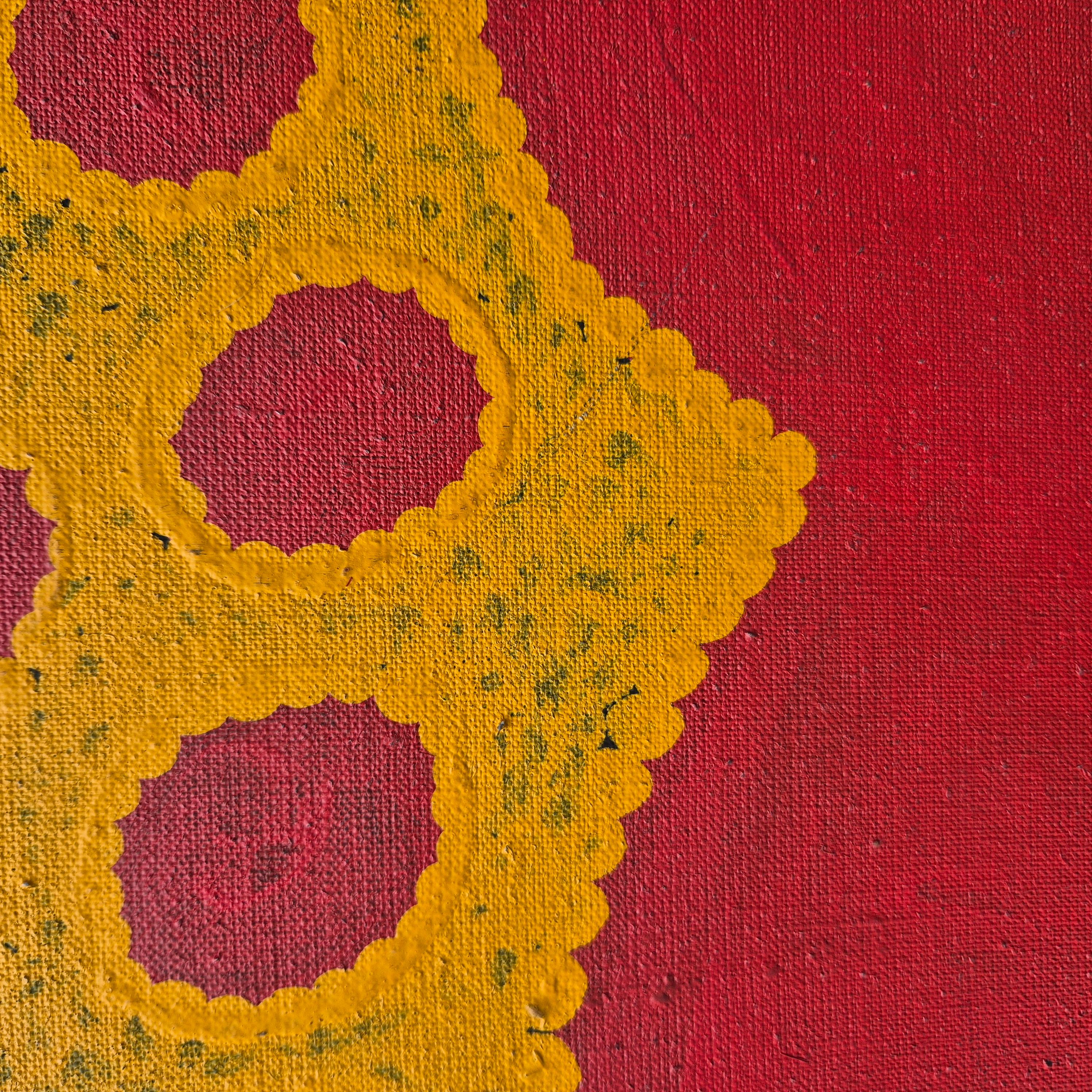Mitjili Napurrula, My Dreaming, Acryl auf Leinwand, 1996 im Angebot 3