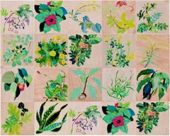 Time is Movin'  : Geranium