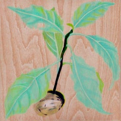 Time is Movin' :Avocado