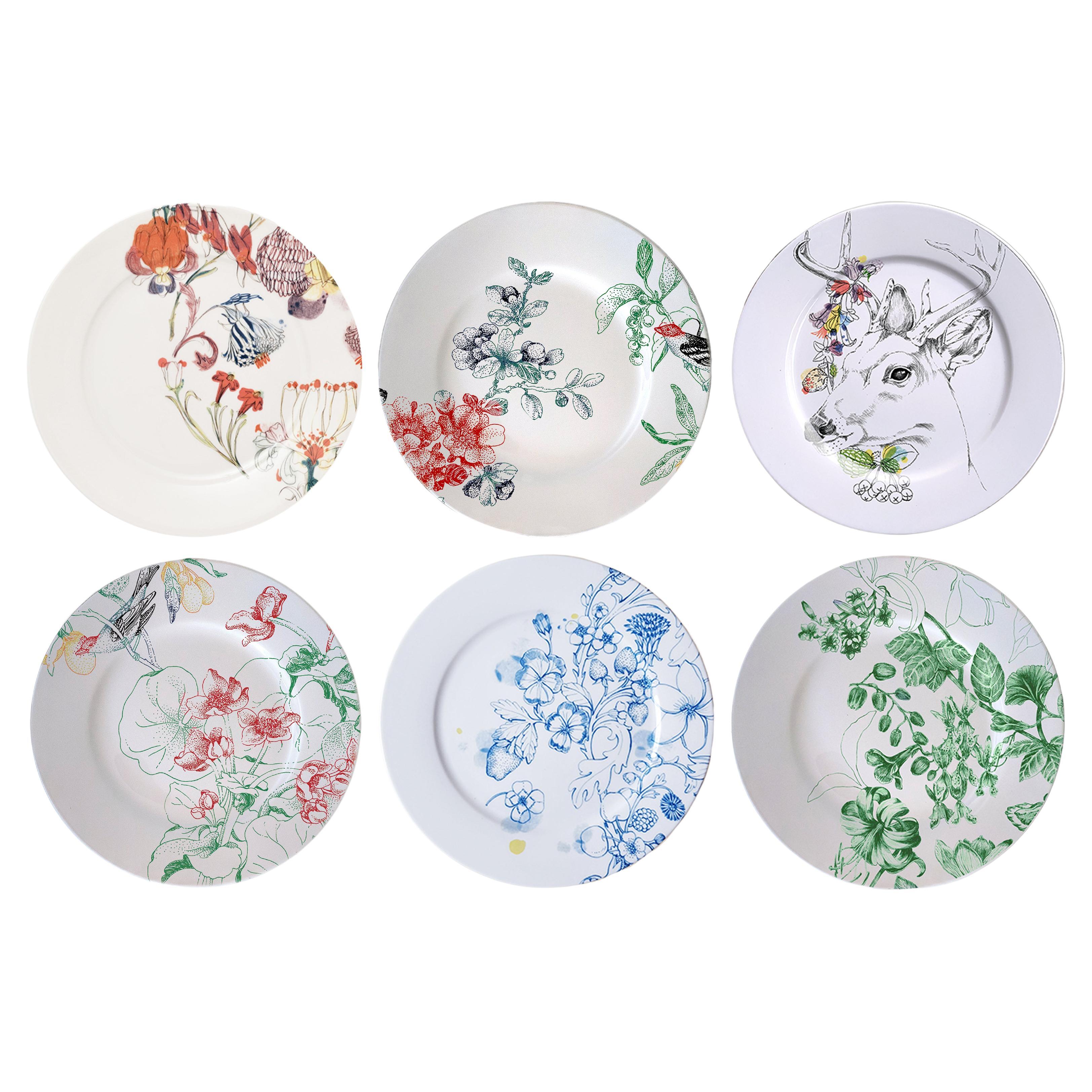 Six assiettes plates en porcelaine contemporaine « Mix & Match » avec fleurs et animaux