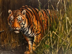 Grande peinture à l'huile britannique signée Tiger in the Rushes Long Grass Stalking 1970's