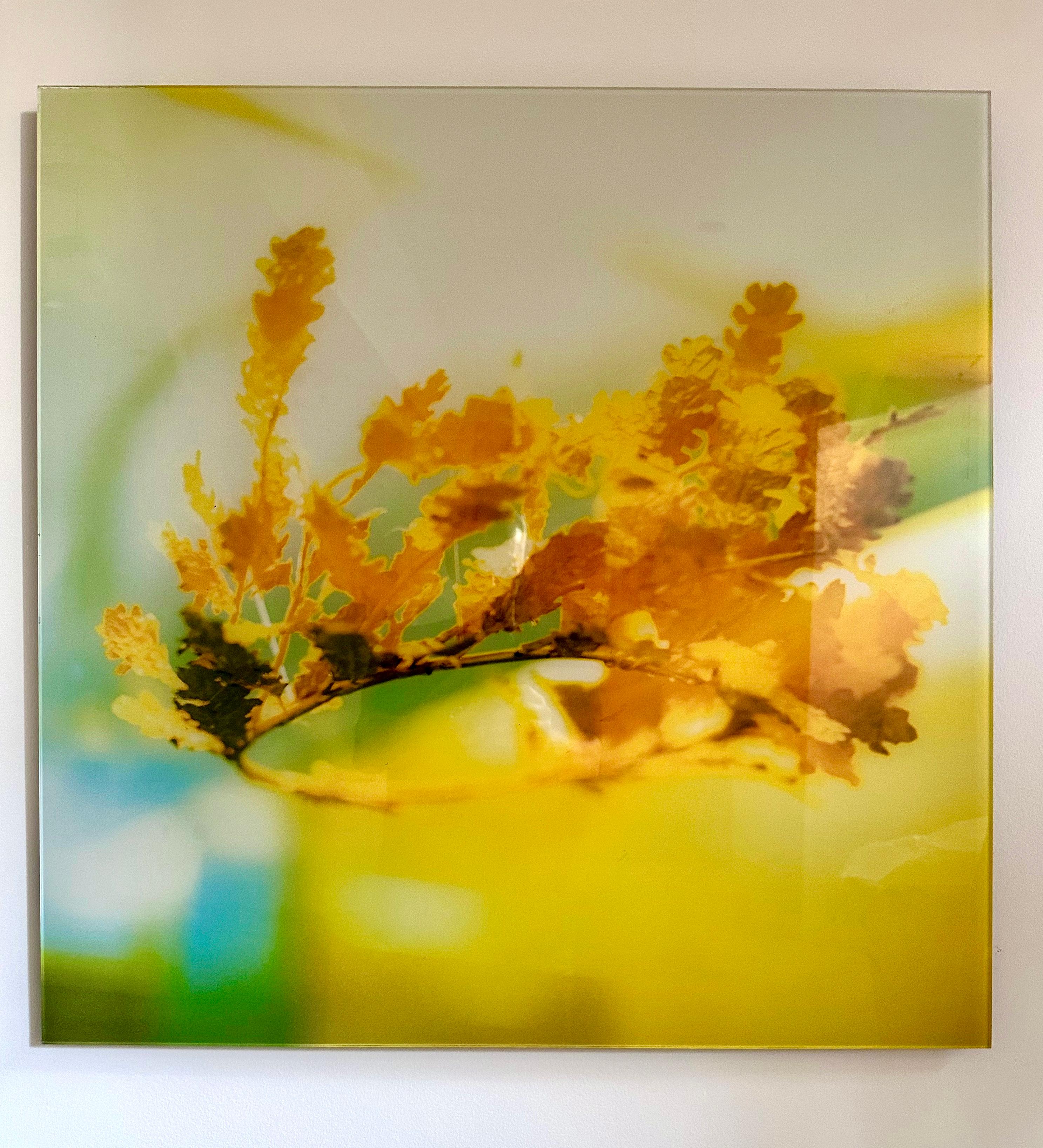 Crown of Tomorrow, Abstrakte Filmfotografie der Goldkrone von Alexander dem Großen (Zeitgenössisch), Photograph, von MK Semos