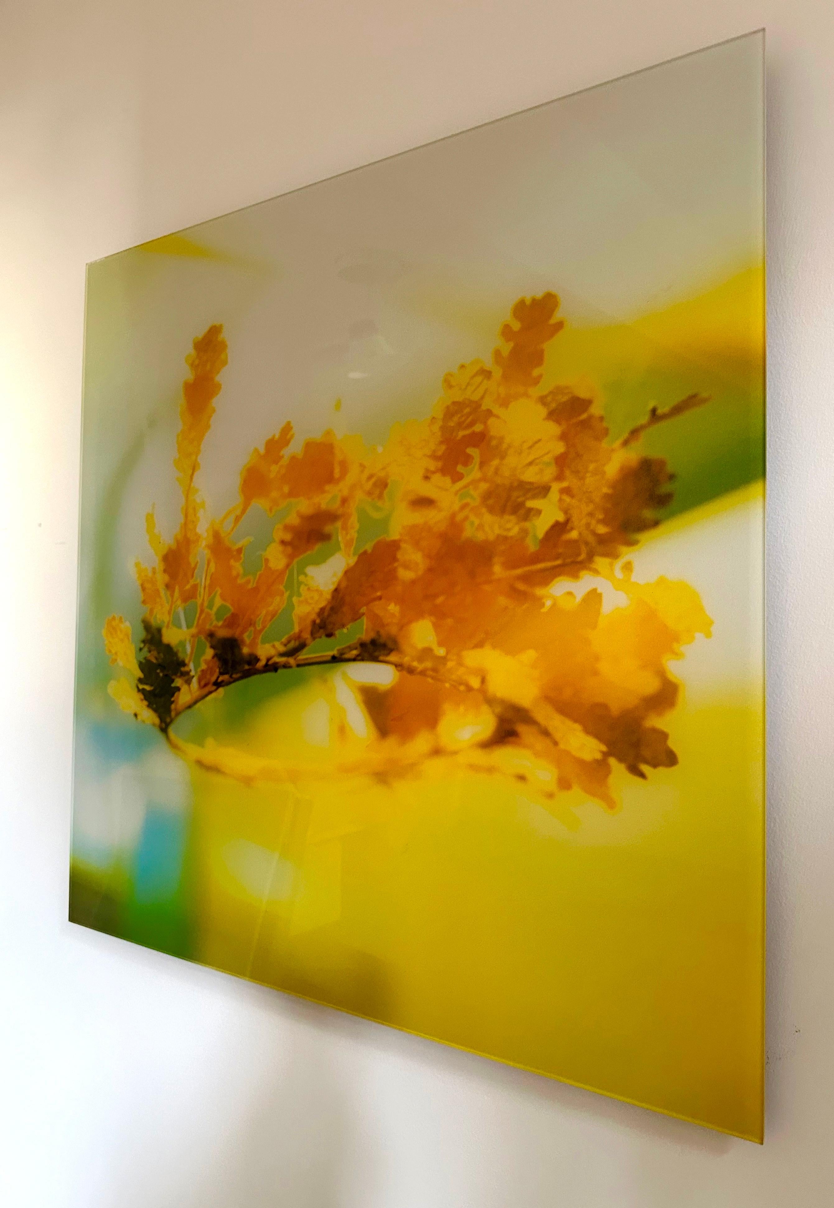 Dies ist eine kraftvolle und elegante abstrakte Farbfotografie mit analoger Fotografie des griechisch-amerikanischen Künstlers und Designers MK Semos. Es ist 30x30 Zoll / 76x76 cm groß und hat ein französisches Klammersystem auf der Rückseite, das