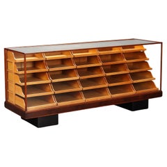 Mid-Century Modern Cabinets