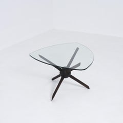 Mobile Military Obstacle "Spinnenkop" or "Friese Ruiter"