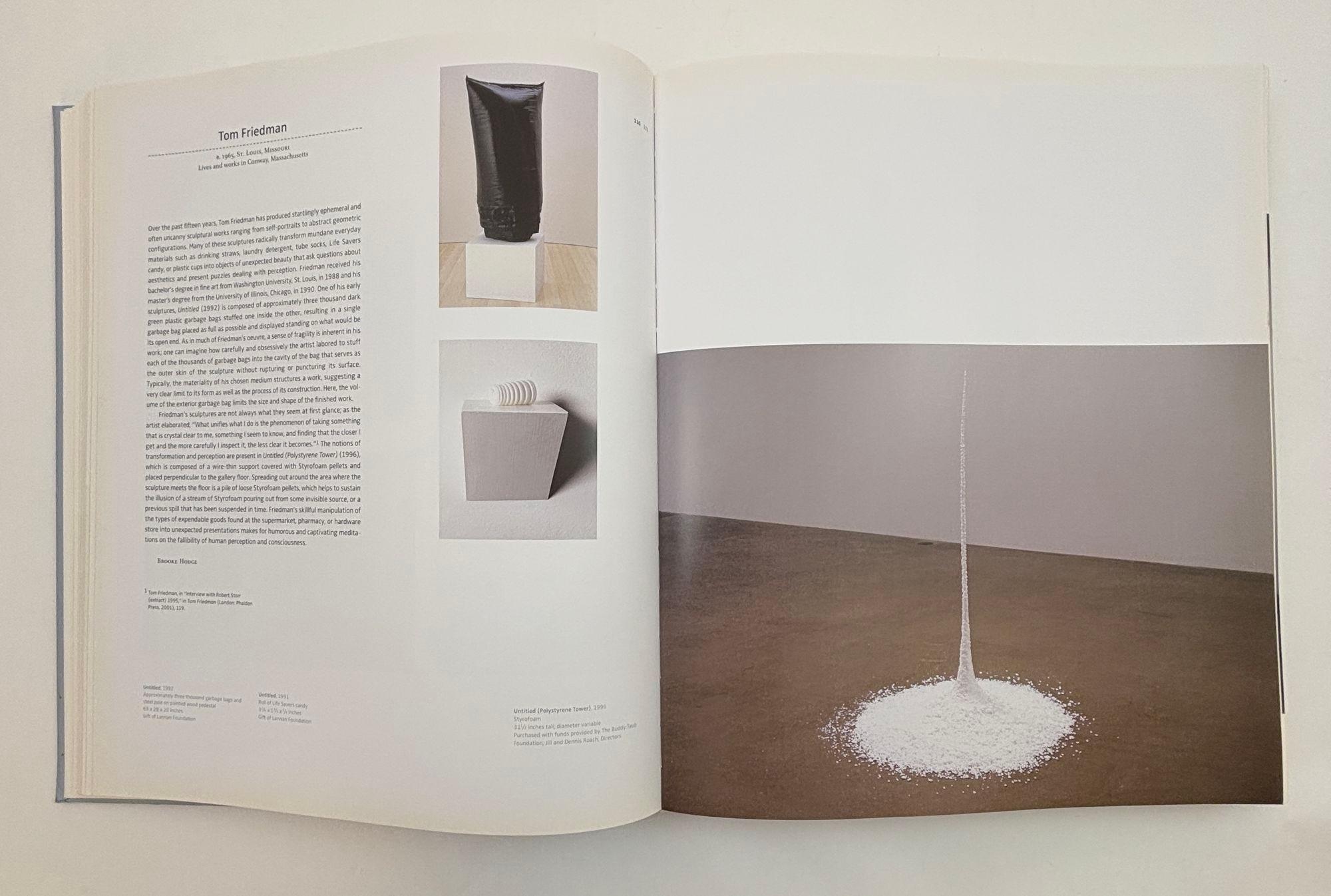 Carta MOCA: Libro con copertina rigida This Is Not To Be Looked At in vendita