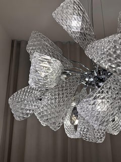 Mocenigo 21-Light modern organic Clear Murano Glass Chandelier by Sylcom, Italy