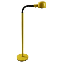 Mod Gooseneck Floor Lamp attributed to Lightolier