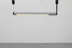 MOD Lámpara de techo orientable fluorescente gris de Philips