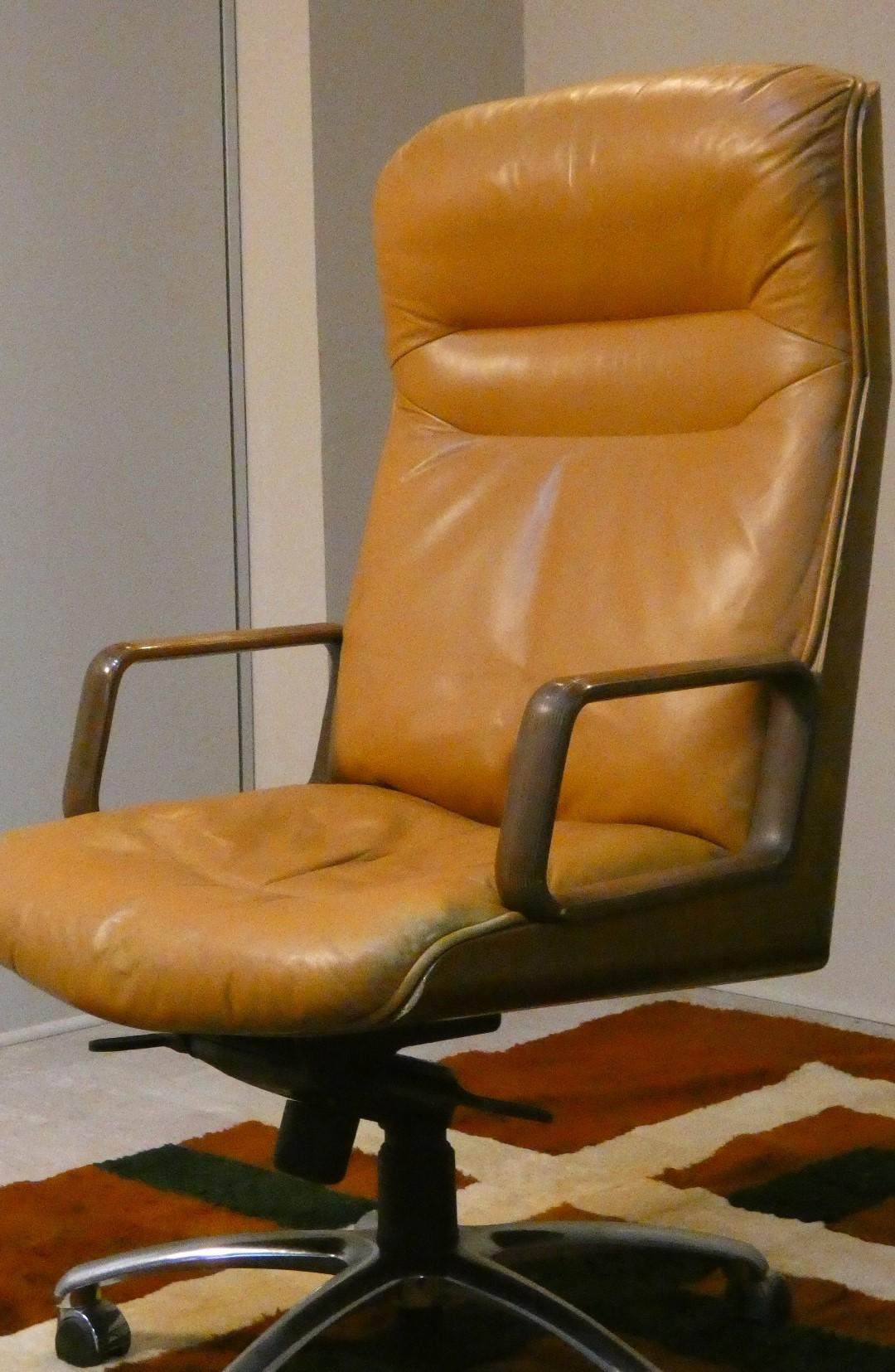Mod. Kiruna Drehsessel aus Leder und Holz von Studio Tecnico Vaghi, 1975 (Skandinavische Moderne) im Angebot