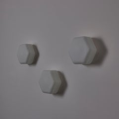 Model 12838 Sconces by Angelo Lelii for Arredoluce