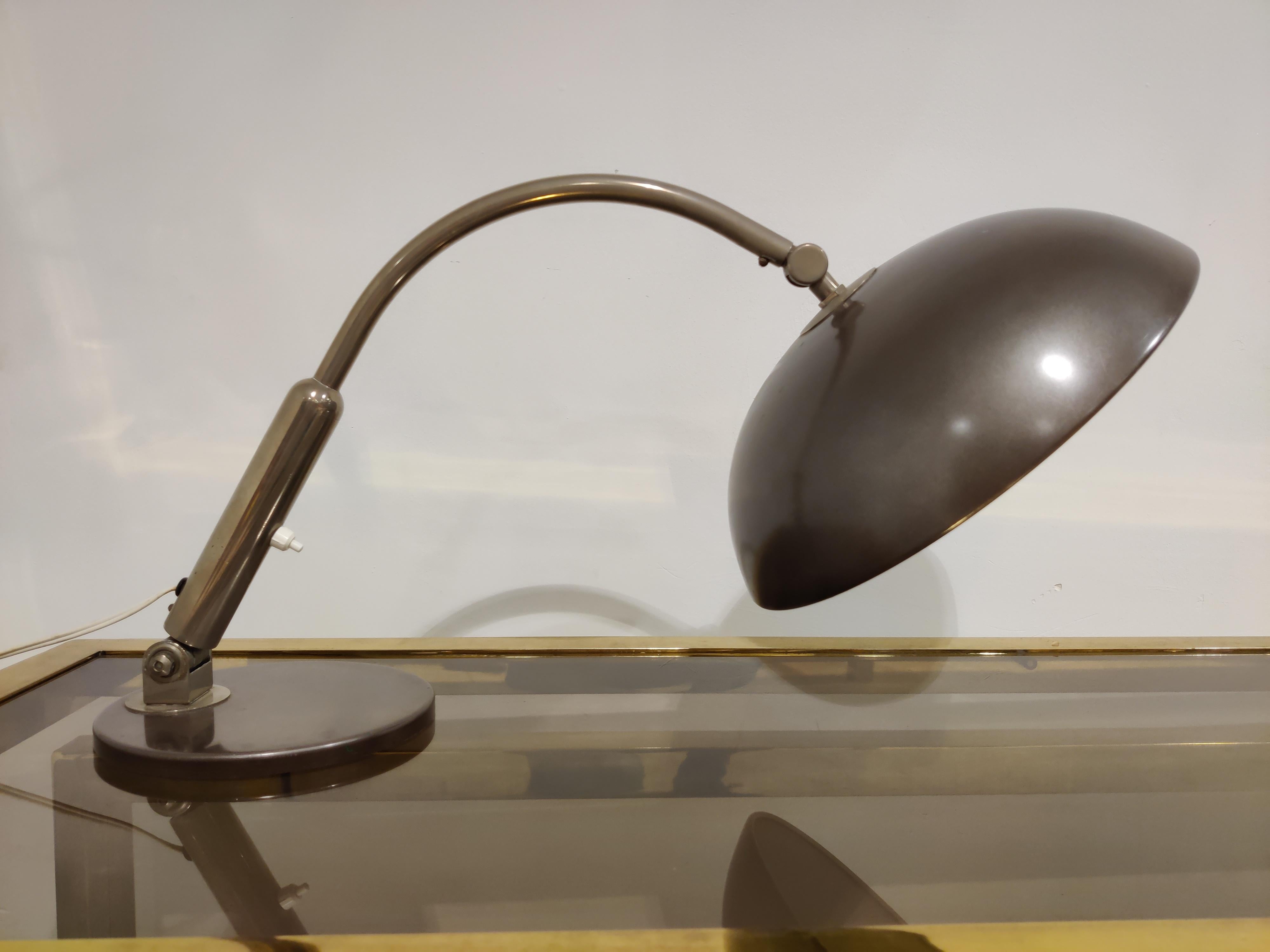 hala zeist lamp