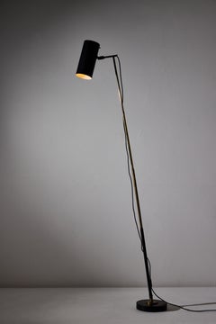 Model 201 Floor/Table Lamp by Ostuni & Forti for Oluce