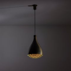 Model 2220 Ceiling Light by Max Ingrand for Fontana Arte