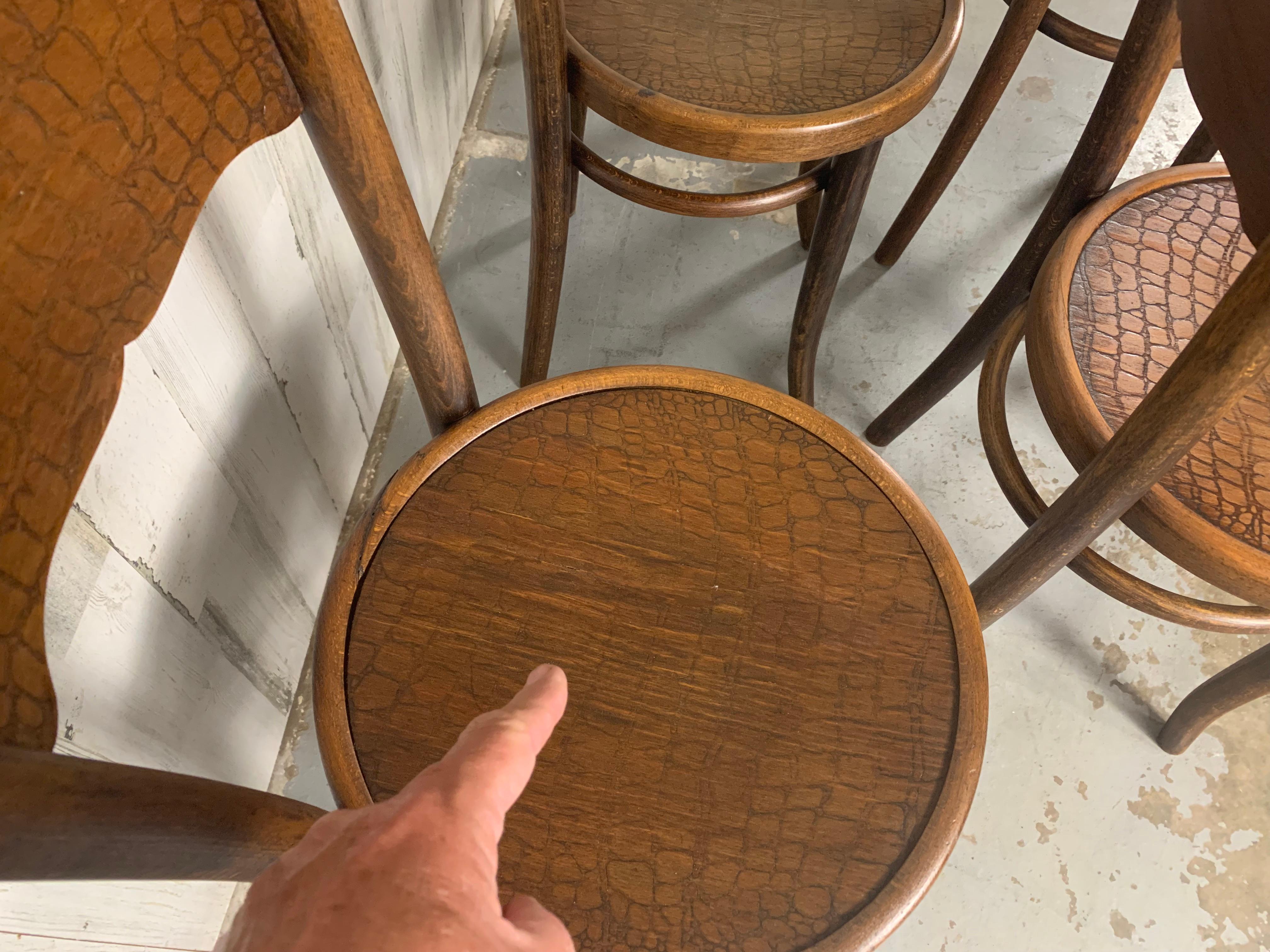 Modell 255 Thonet Bugholzstühle „Crocodile“ Muster-Set aus 6 Stühlen im Angebot 6