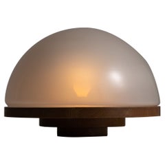 Tischlampe Modell 3/3 Selenova von Luigi Massoni