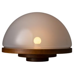 Model 3/3 Selenova Table Lamp by Luigi Massoni