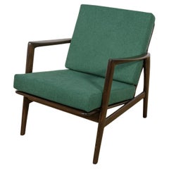 Model 300-139 Armchair from Swarzędz Furniture Factory, 1960s
