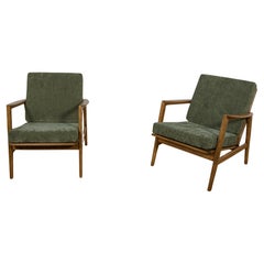 Poltrone Model 300-139 della fabbrica Swarzędz, anni '60, Set di 2