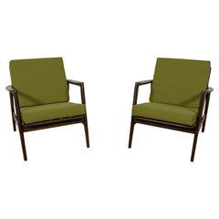 Vintage Model 300-139 Armchairs from Swarzędz Furniture Factory, 1960s, Set of 2
