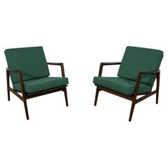 Vintage Model 300-139 Armchairs from Swarzędz Furniture Factory, 1960s, Set of 2