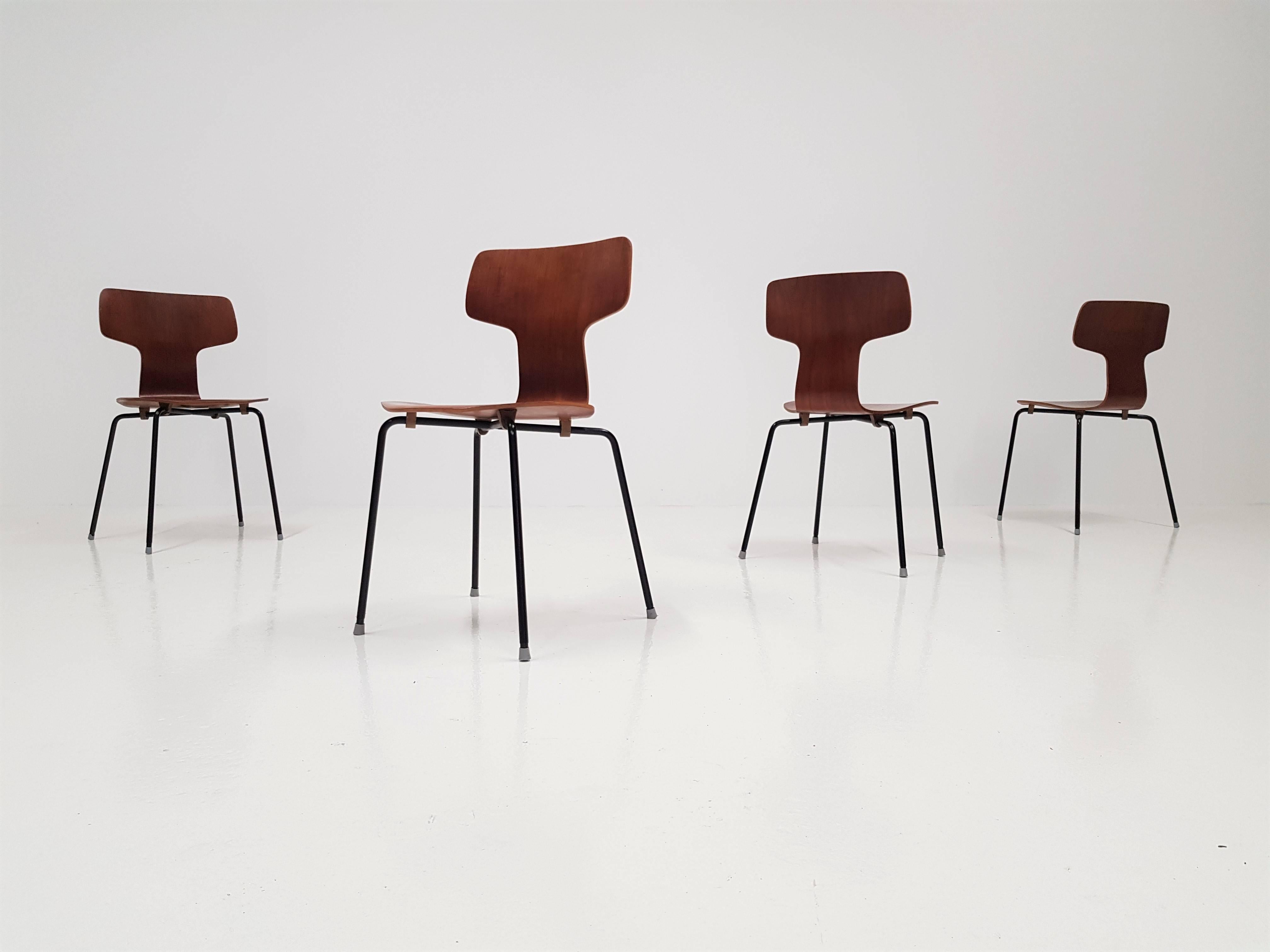 Beautiful teak model 3103 hammer chairs by leading designer of the period Arne Jacobsen for Fritz Hansen, 1960s.

      