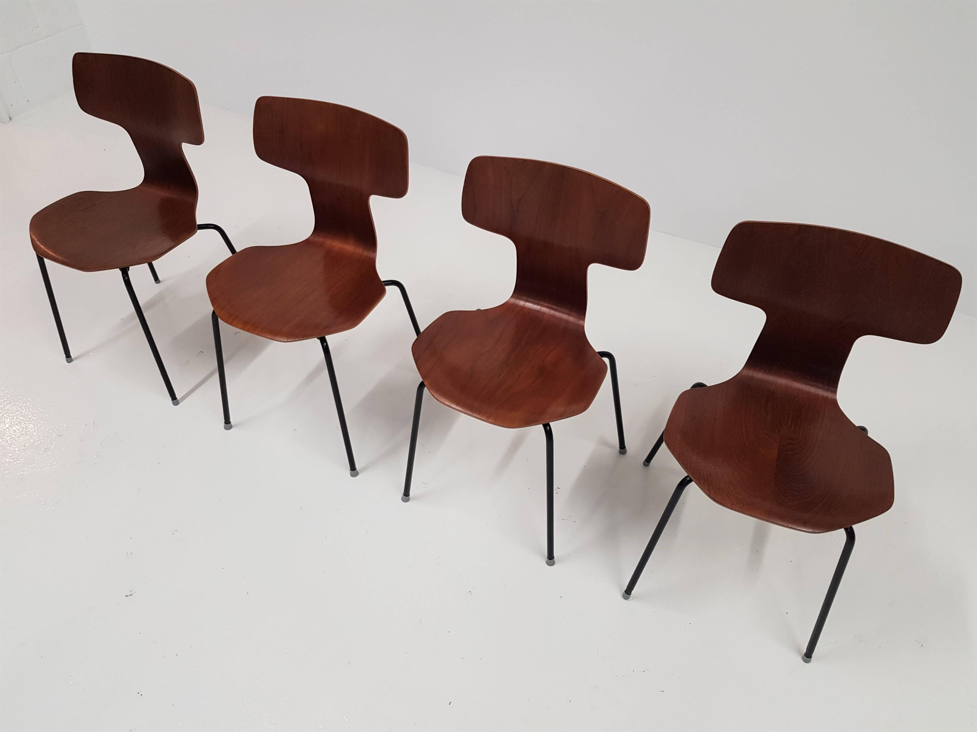Steel Model 3103 Teak Hammer Chairs by Arne Jacobsen for Fritz Hansen, 1960s