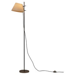 Model 398 Floor Lamp by Ostuni & Forti for Oluce