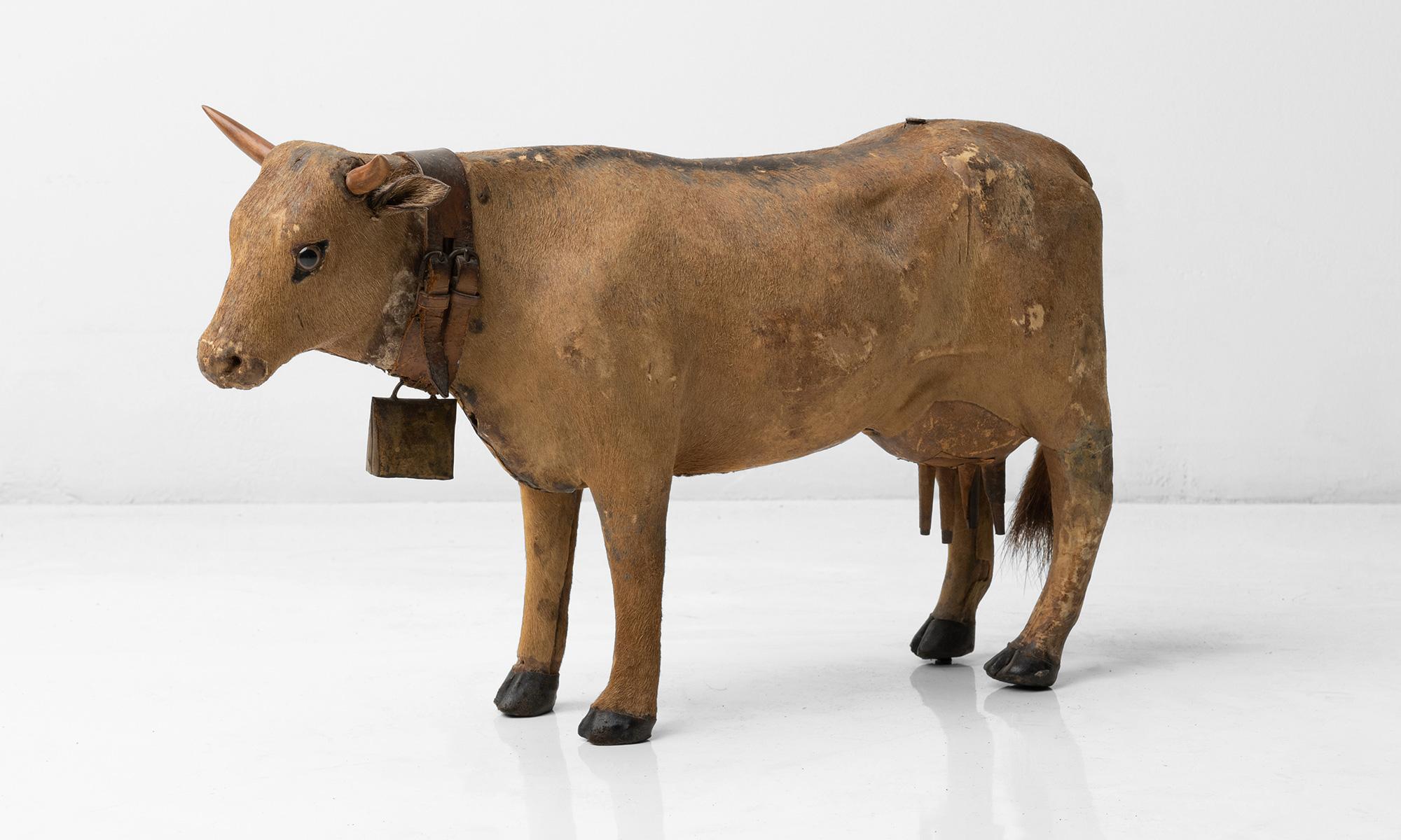 Model Cow

France circa 1880

Wooden body with glass eyes. Internal bellows that moo when you move the head.

18” L x 4.75” D x 10.5” H, 18 inches Long.