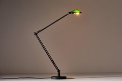 Model D12 "Berenice" Table Lamp by Alberto Meda and Paolo Rizzatto