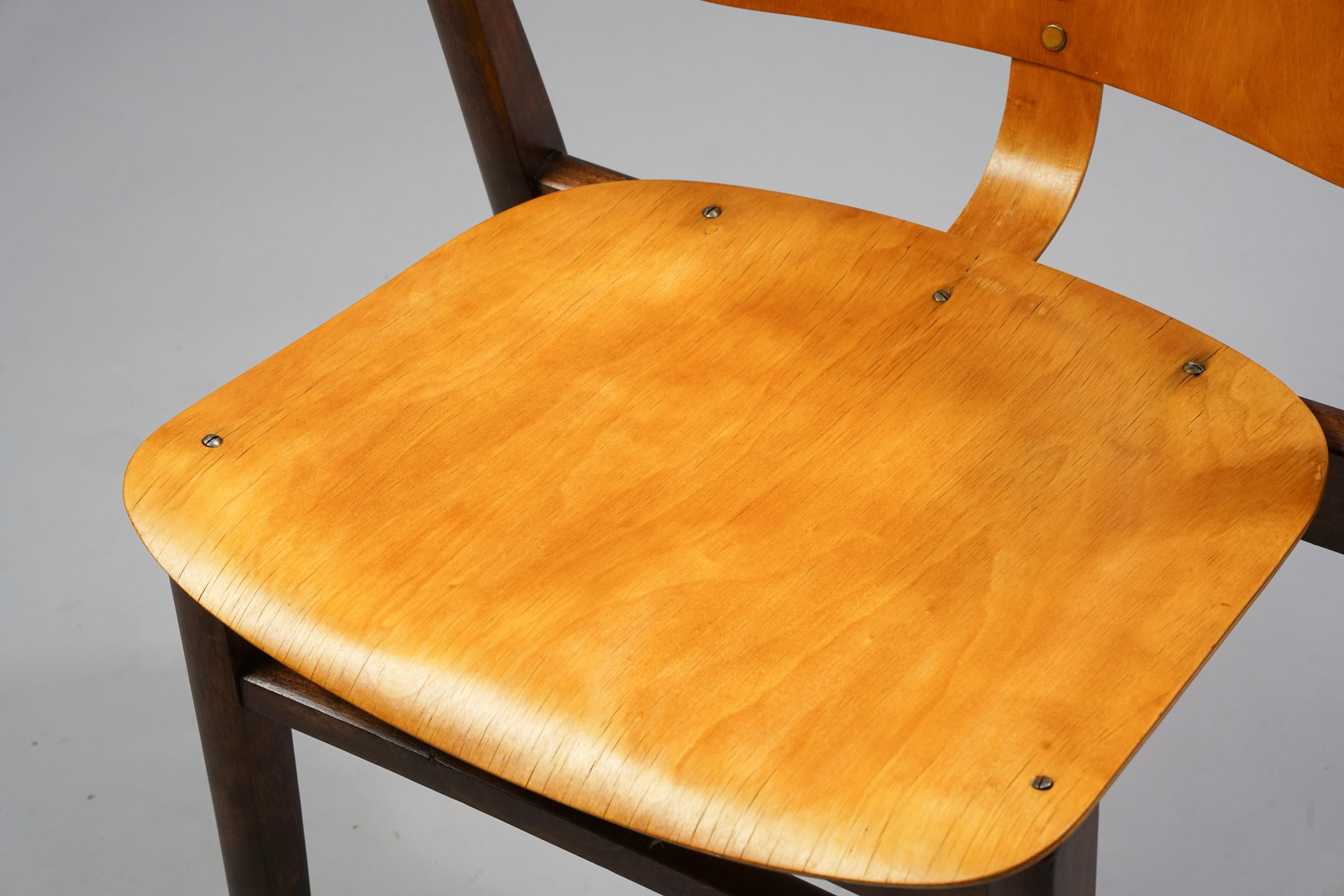 Finnish Model Domus Chair by Ilmari Tapiovaara from the 1950s
