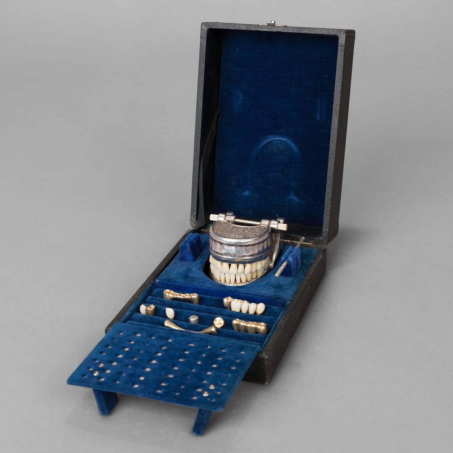 French Model for the Dentistry, Vecabe, circa 1930