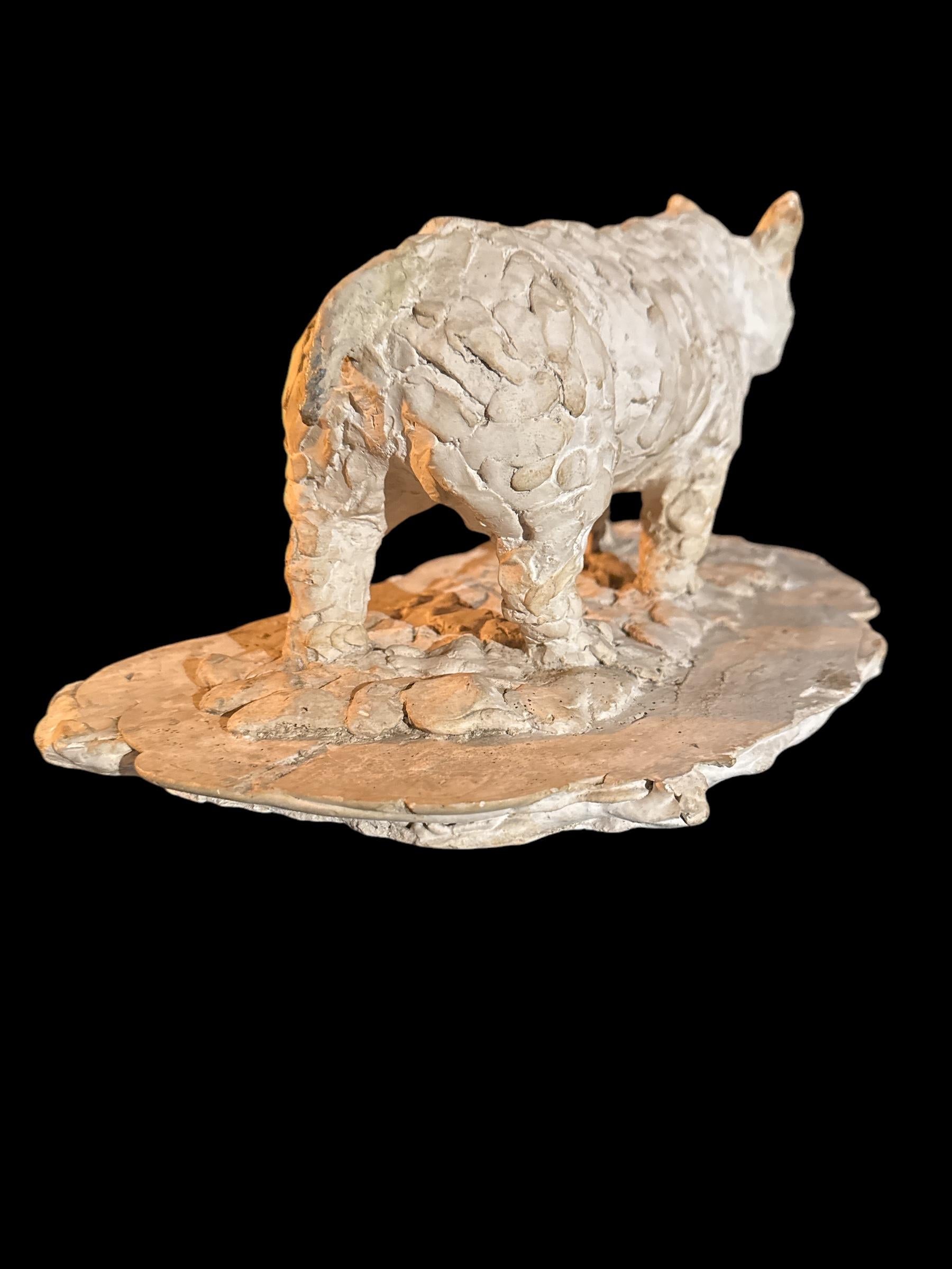 Mid-Century moderno Modello in gesso di rinoceronte di Han Rhem in vendita