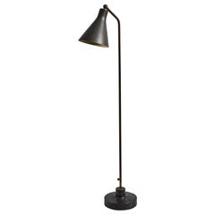 Model Lte3 Alzabile Floor Lamp by Ignazio Gardella for Azucena