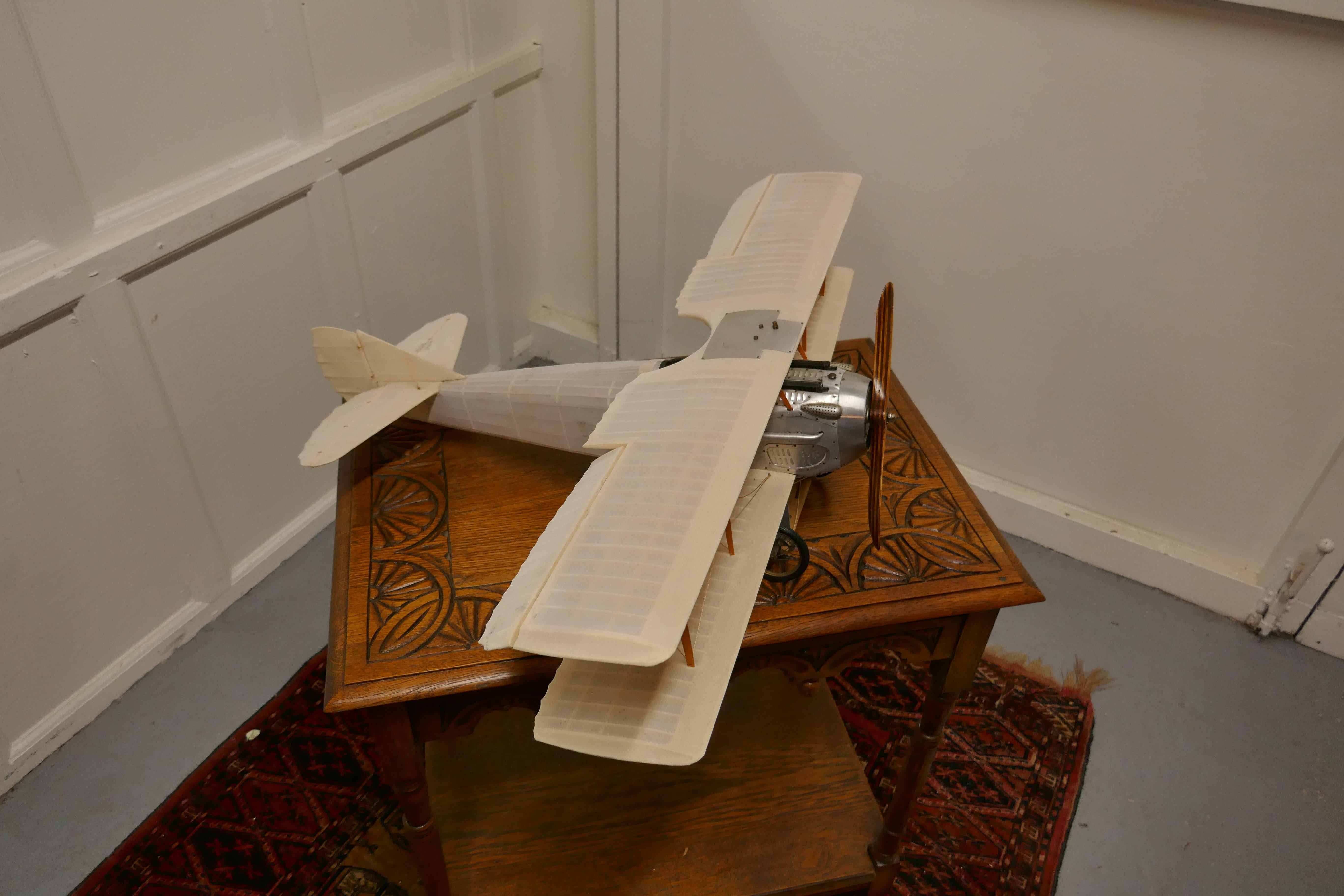biplane model